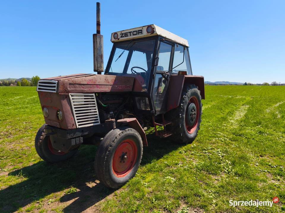 ZETOR 8011 sprawny żółw i zając Międzylesie sprzedam