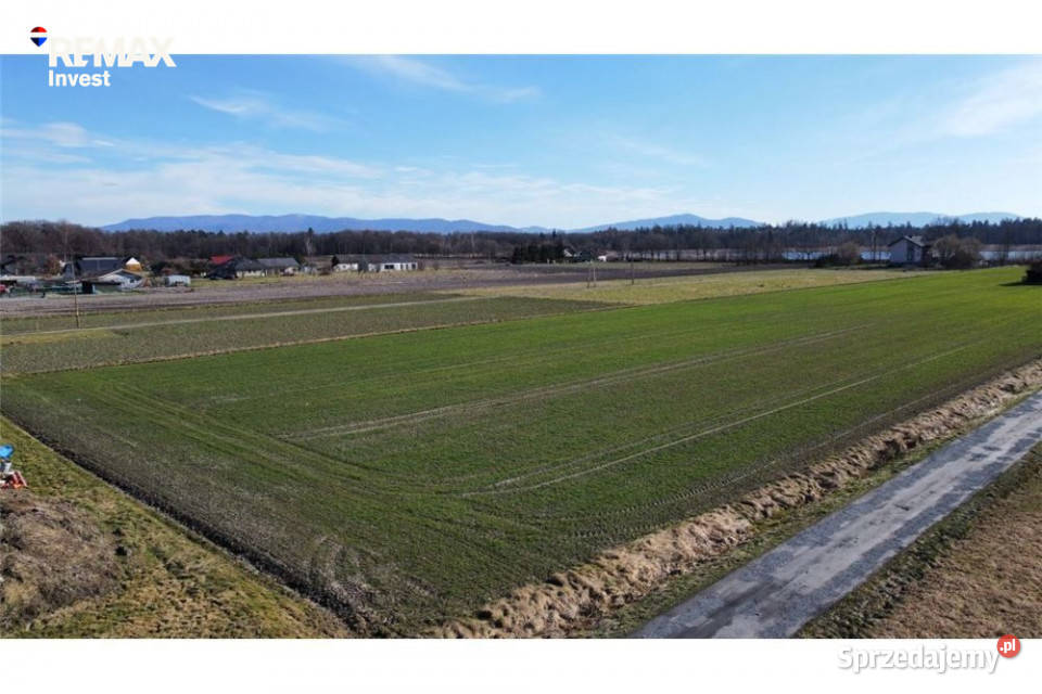 Działka budowlana w Zaborzu 1522m2 Zaborze