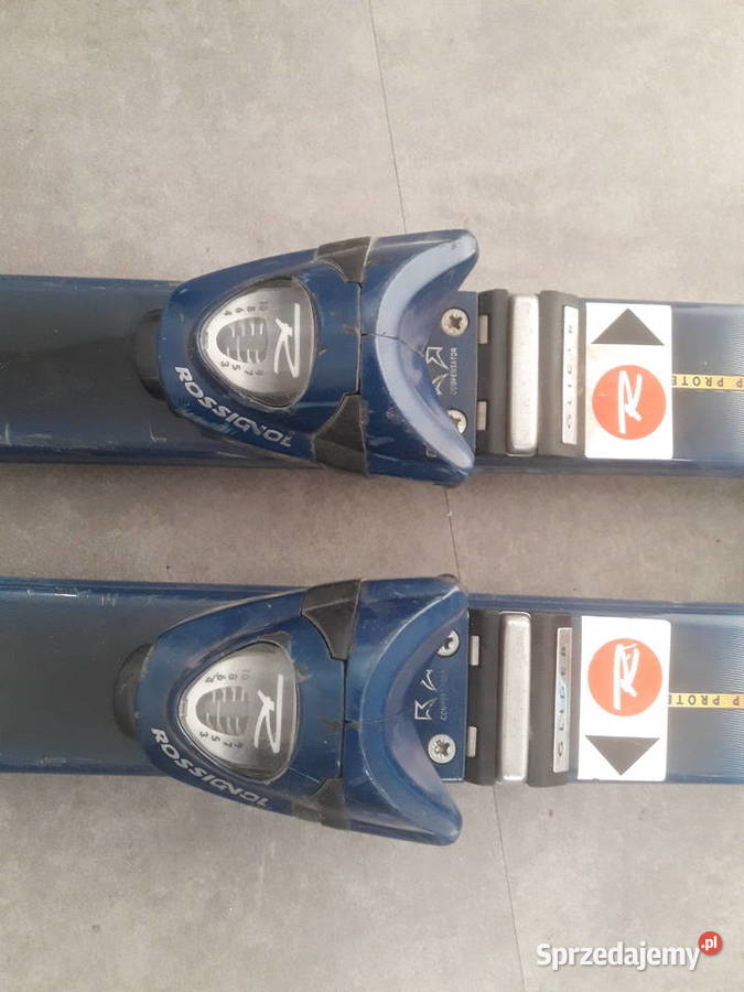 Narty Rossignol Rossignoll Rosignol Rosignoll śląskie
