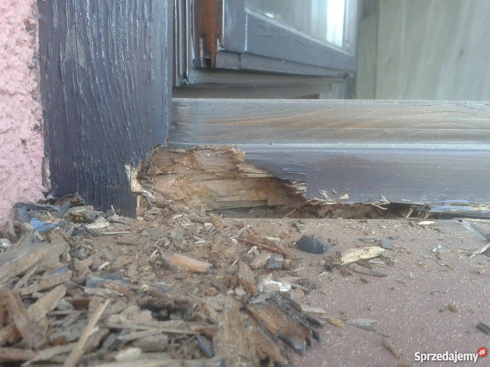 Malowanie renowacja drewnianych drzwi i okien Zawiercie