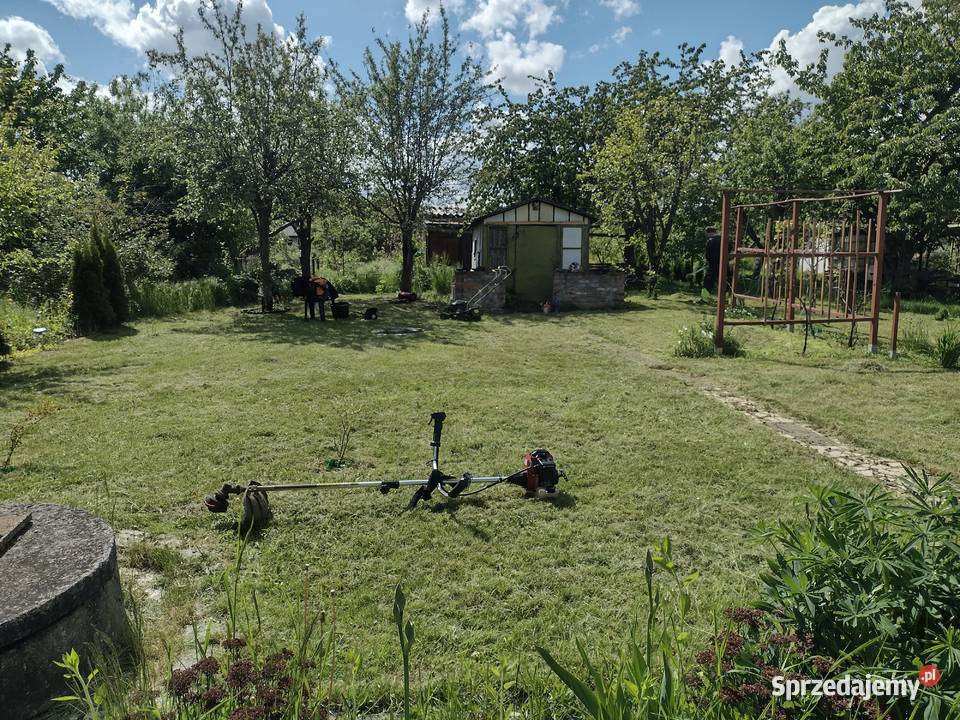 Ogródek działkowy ROD Jedność Wrocław Pozostałe sprzedam