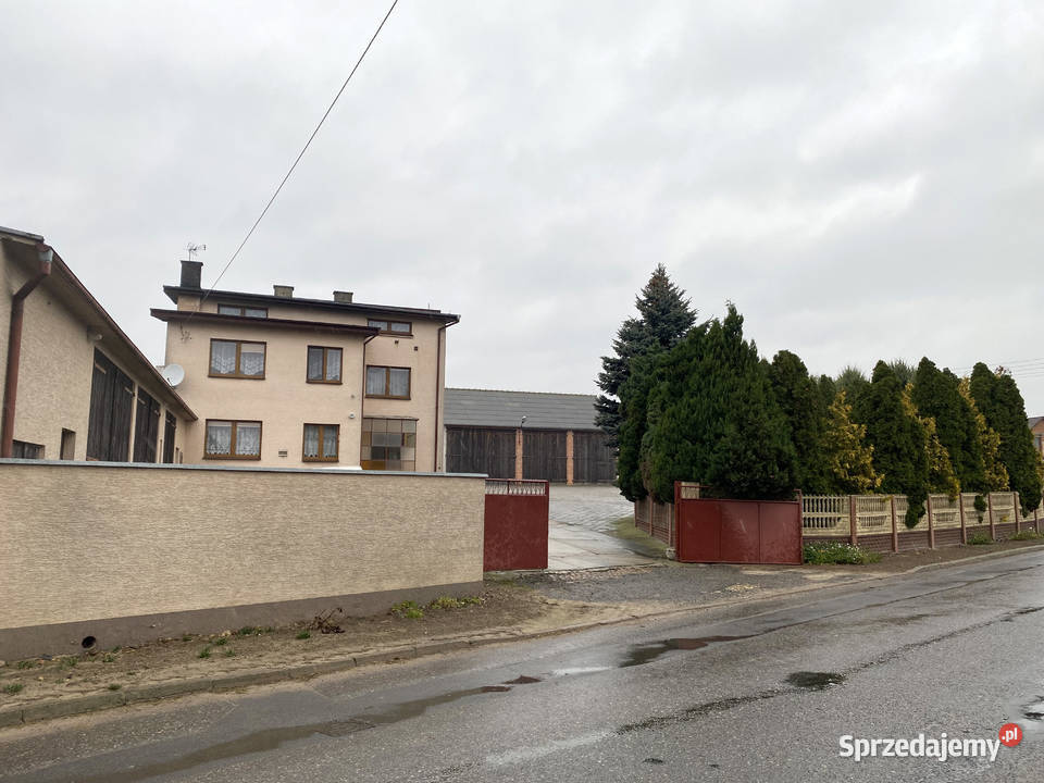 Sprzedam dom i Hale magazynowe na działalnośc Rozdrażew