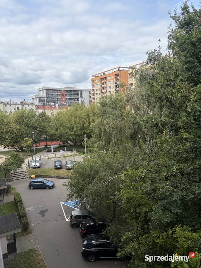 Mieszkanie 3 pokoje 5375 mkw 9693zł/m2 Szczecin