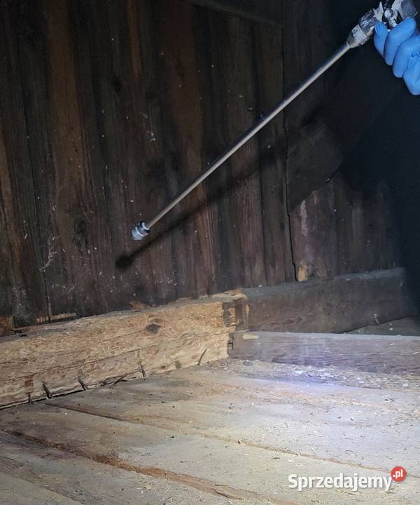 Zabezpieczanie drewna konstrukcyjnego więźby Remont i budowa Poznań usługi budowlane