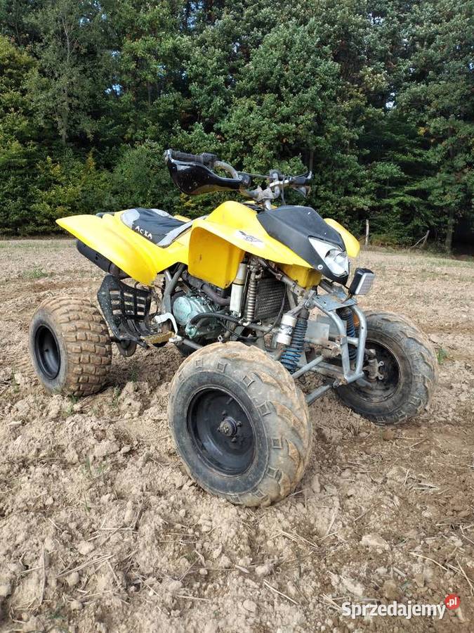 Quad Bashan 250 zarejestrowany na katB 250cm3 Sierakowice