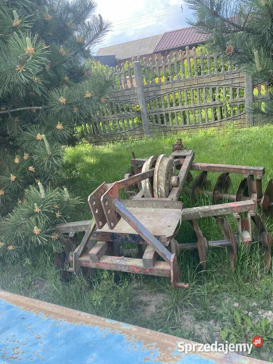 Talerzówka łódzkie Brzeziny