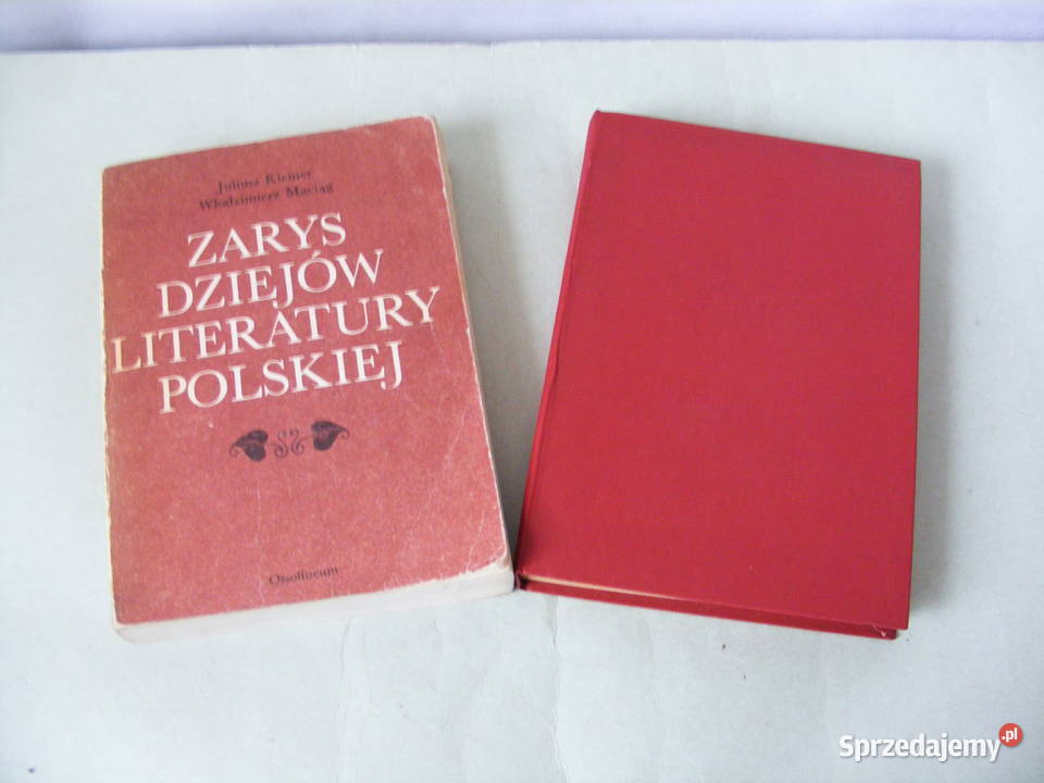 Zarys dziejów literatury polskiej Kleiner Okresy literackie