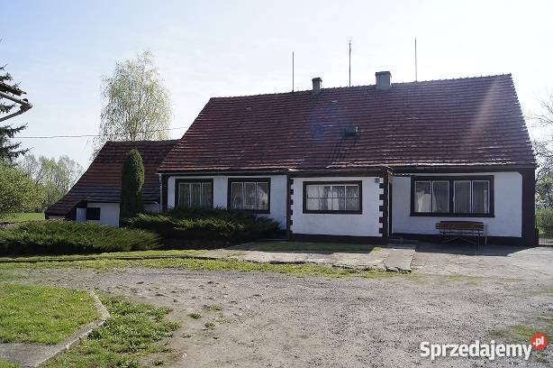 Sprzedam gospodarstwo rolne Borów Wielki