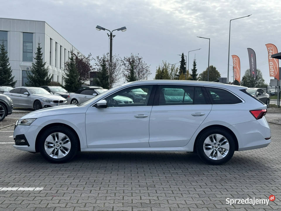 koda Octavia Suchy Las
