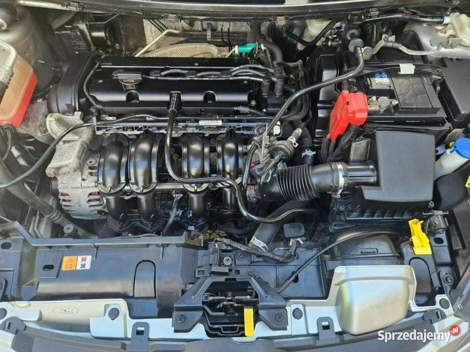 Ford Fiesta Prosty Silnik Super Stan Klima Płońsk