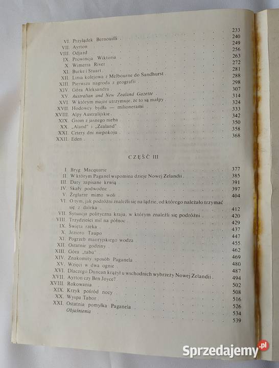 DZIECI KAPITANA GRANTA Juliusz Verne Książki dla dzieci Hajnówka