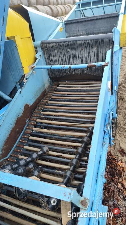 Kombajn Bolko Do ziemniaków i warzyw mazowieckie Stara Kornica