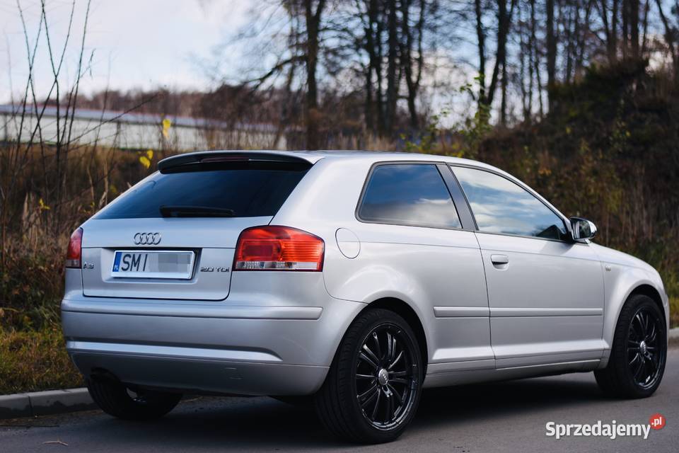 Audi A3 8P diesel