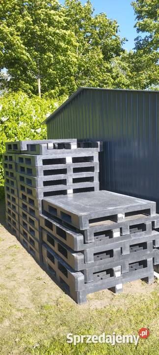 Palety plastikowe pełne 120x100 Miłki