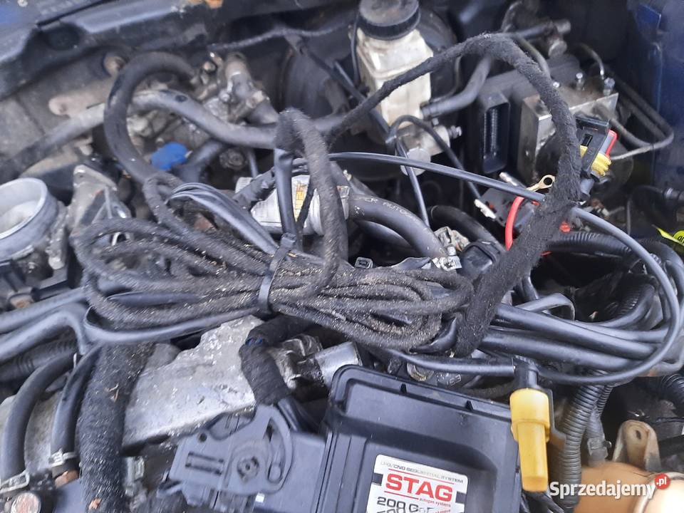 Instalacja Gazowa Stag sekwencja Eligiów