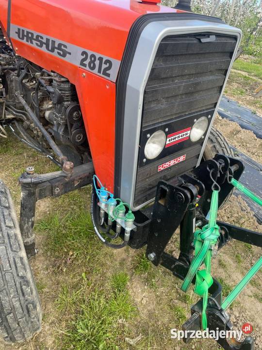Zetor 8145 Sieradz
