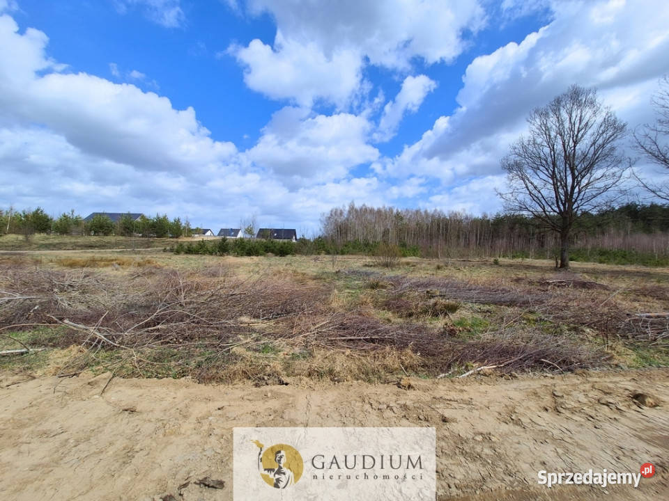 Przystanek NATURA działka pod lasem Kobysewo pomorskie sprzedam