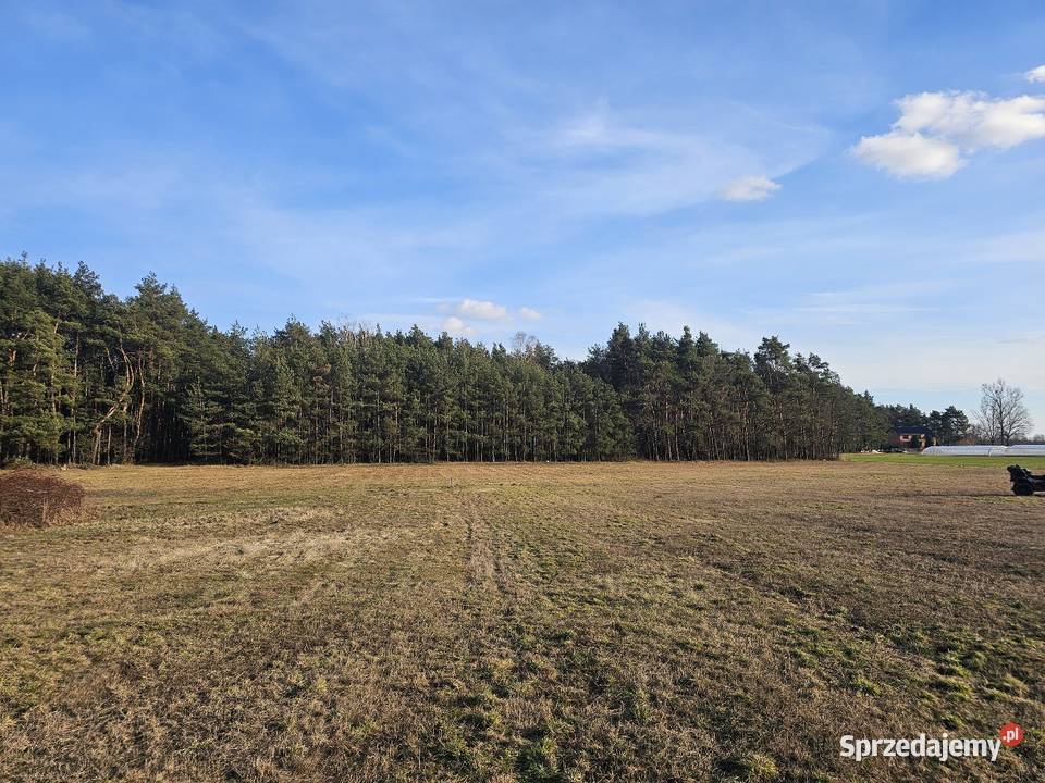Działka Rolna Kolonia Rozniszew mazowieckie Warka