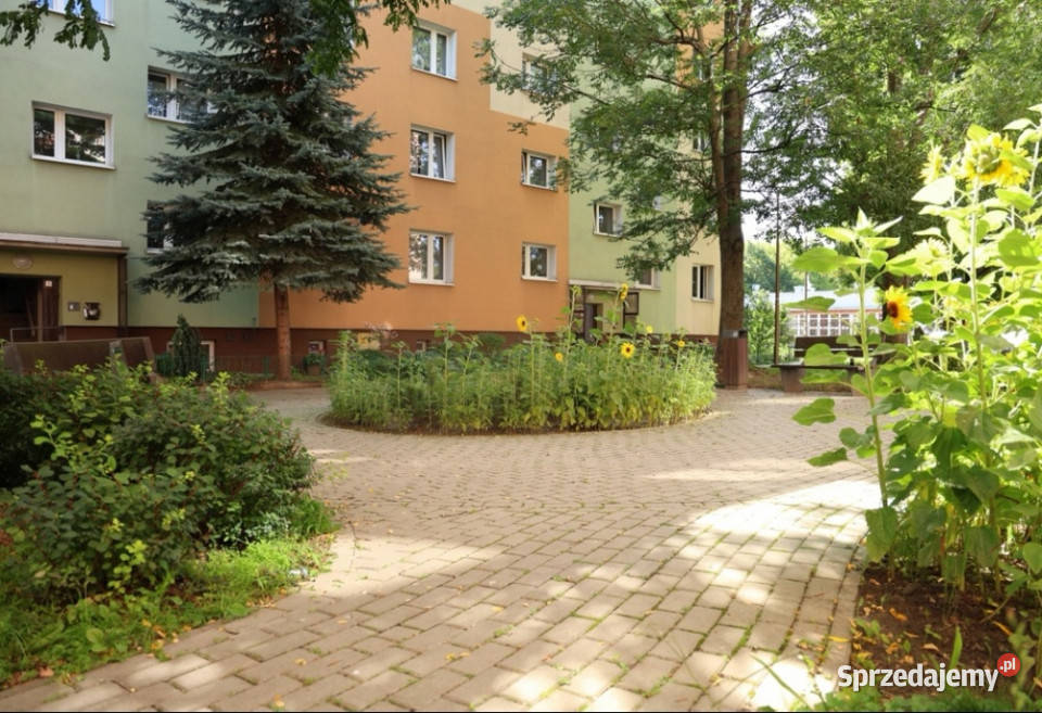 Bezpośrednio remoncie 2 pokoje k Okulickiego internet Rzeszów sprzedam