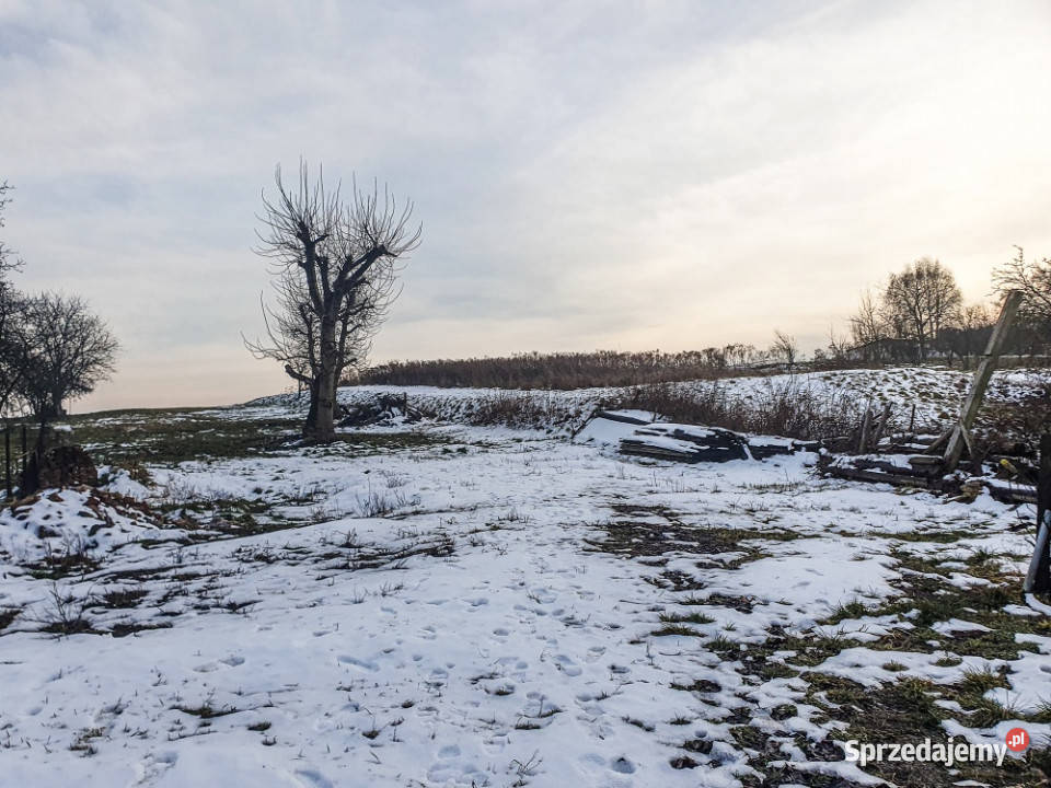 Na sprzedaż 2 działki budowlane 7 arów Kocmyrzów