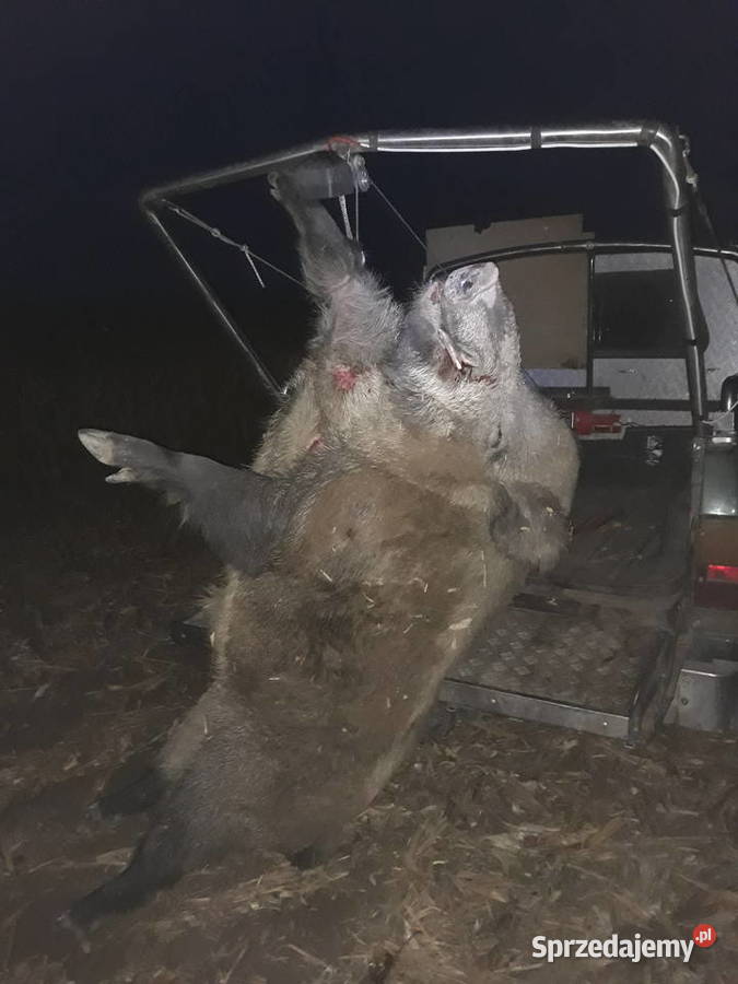 NISSAN PATROL K160 wielkopolskie