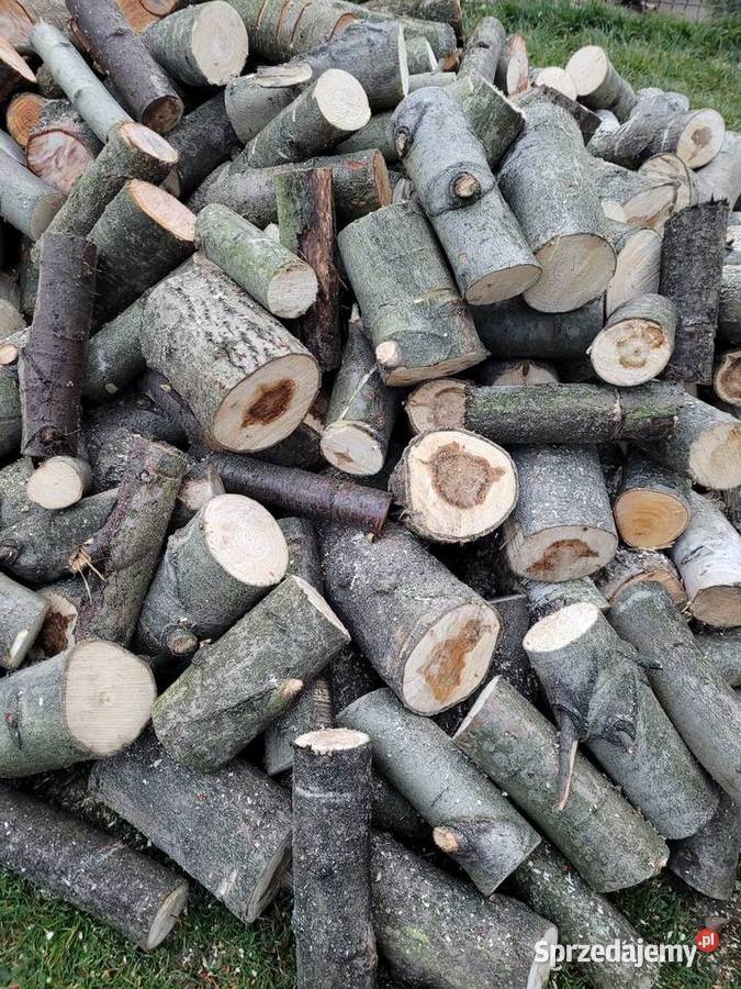 Wycinka drzew małych średnich pod budowe cięcie Karczowanie i usuwanie drzew Żywiec prace ogrodowe