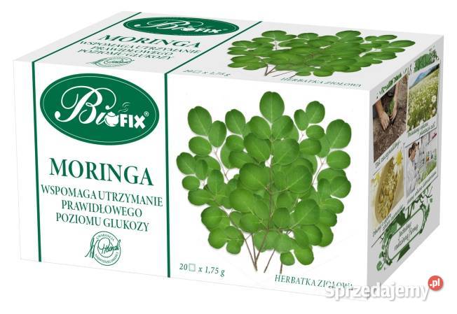 Bifix herbata morwa biała ostropest plamisty Stare Miasto