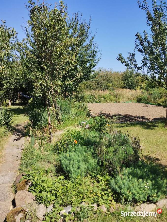 Działka ROD 500m2 z ładnym domkiem dużo nasadzeń 30zł/m2 Szczecin