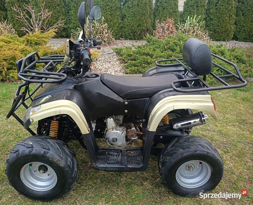 Quad 110 11 łańcuch Ponikiew Duża