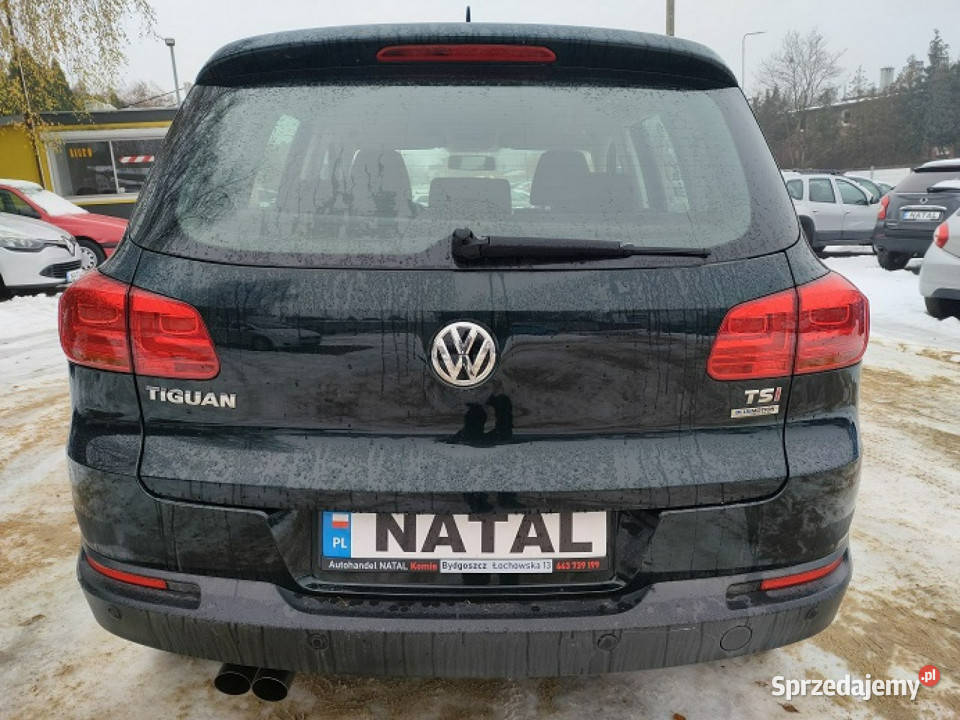Volkswagen Tiguan 116000 Bogata wersja I autoalarm Tiguan Bydgoszcz