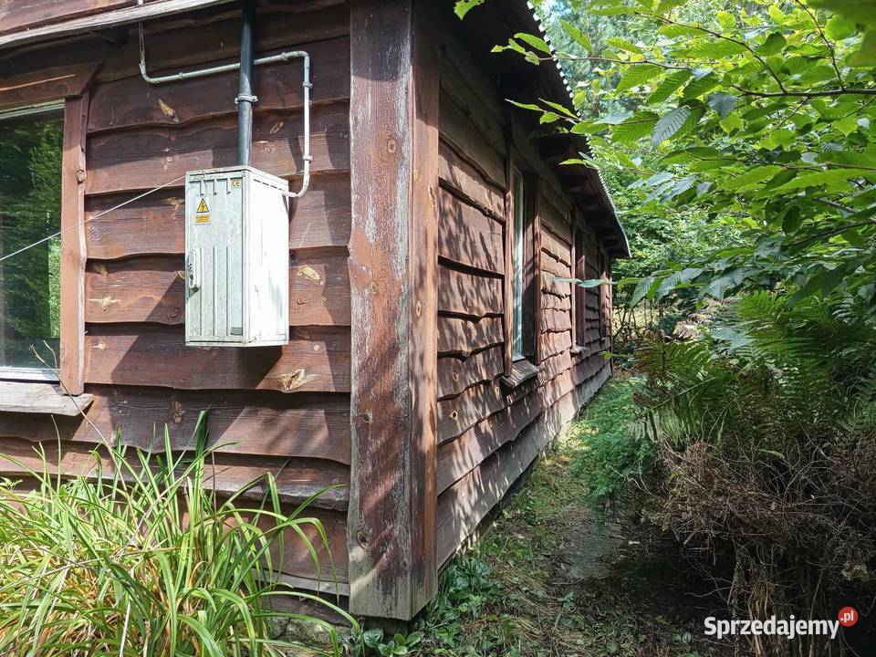 Domek letniskowy z działką 16ar w magicznym Nieruchomości Stary Majdan