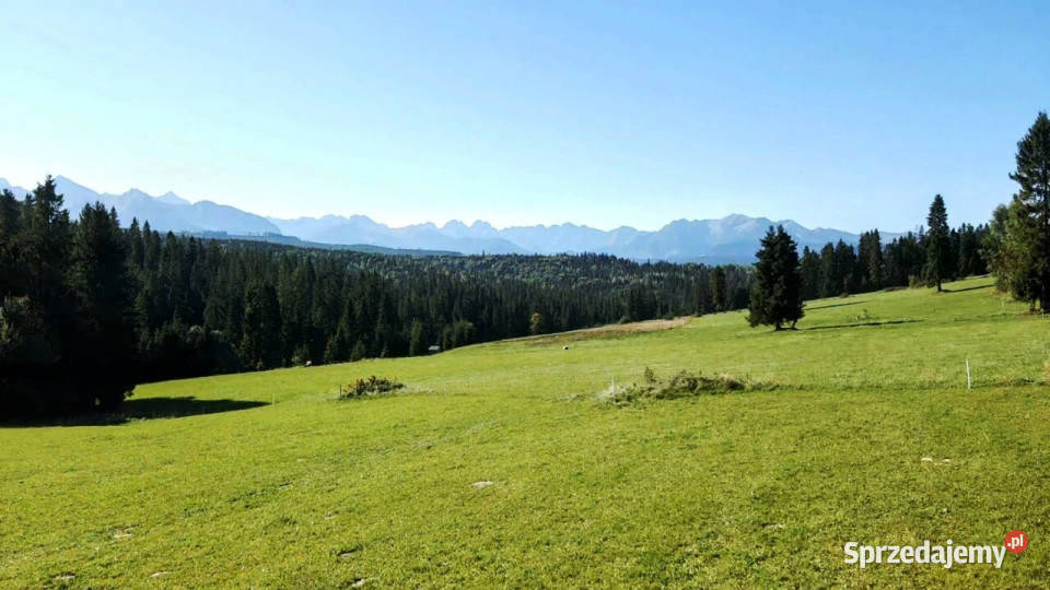 DZIAŁKA W RZEPISKACH Z WIDOKIEM NA TATRY polna sprzedam