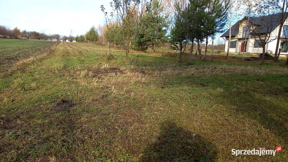 sprzedam działkę budowlaną w Osieku 1100m2 sprzedam