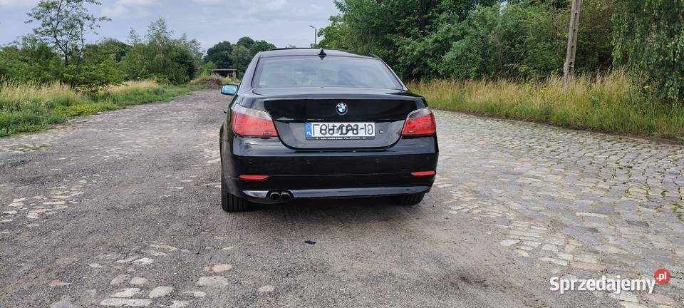 BMW E60 BMW Seria 5 bixenon skrętny skóry lubuskie