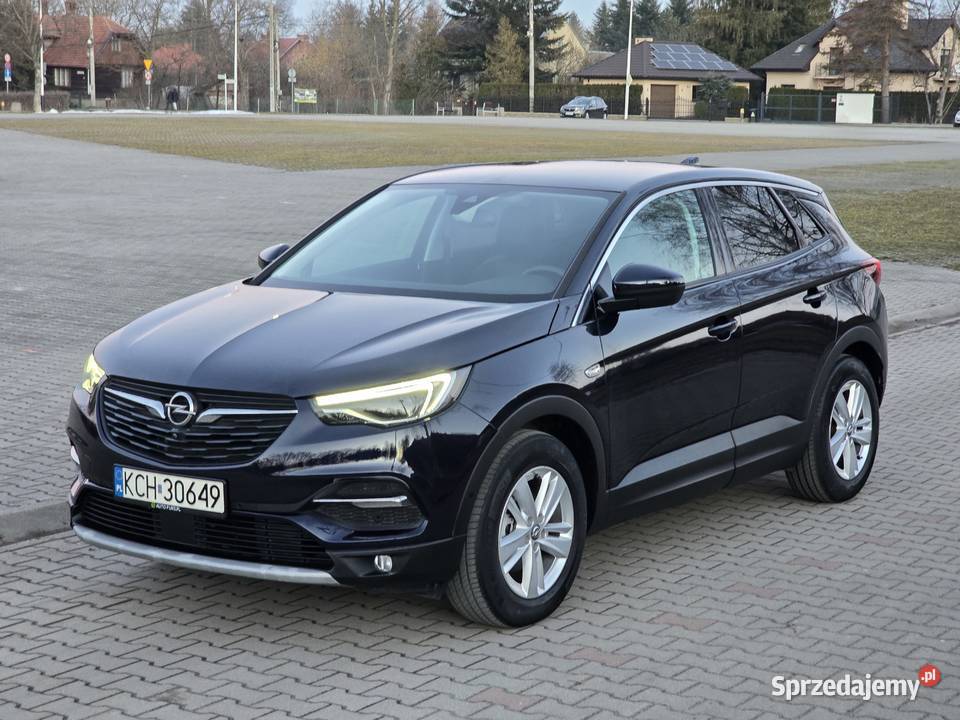 Opel Grandland X automat benzyna nieuszkodzony podkarpackie Leżajsk