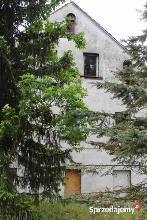 Sprzedam segment domu z działką w ratach bez Bolesławiec