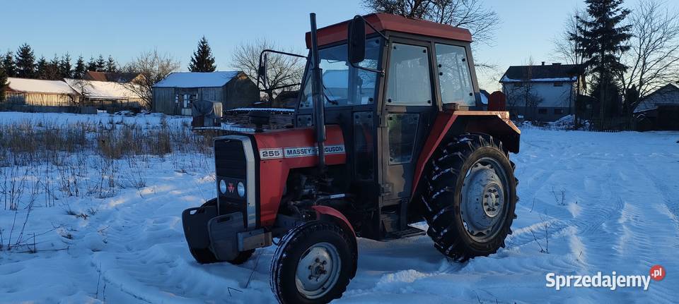 Ferguson MF 255 235 kabina export wspomaganie sprzedam