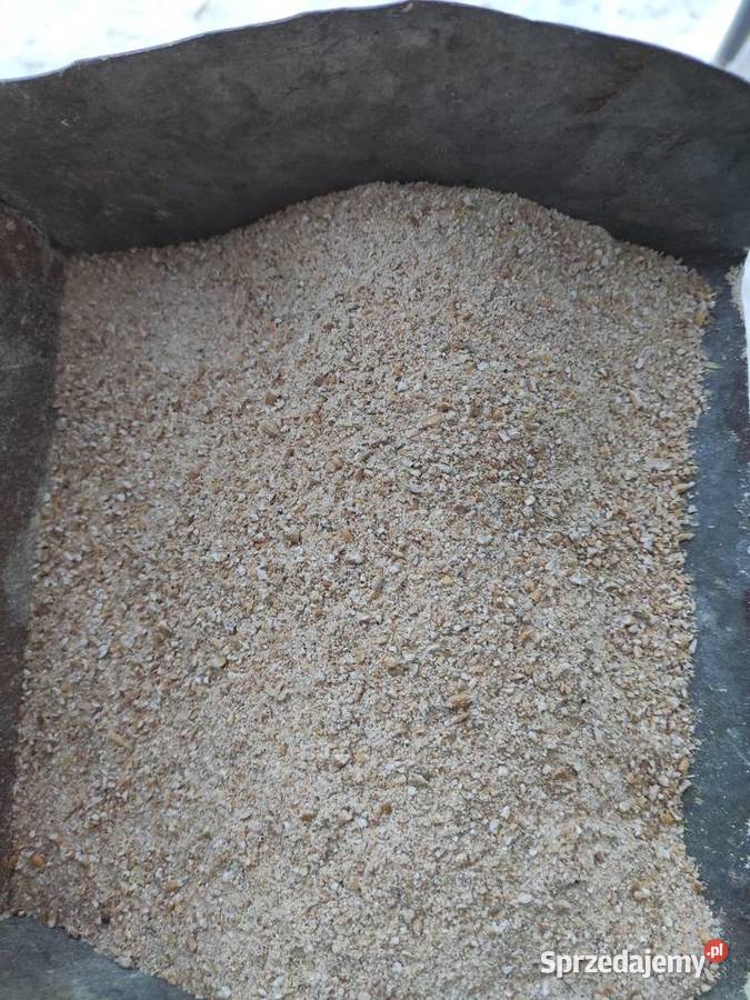 Zboże Pasza śruta ospa z przenzyta mazowieckie Iłża