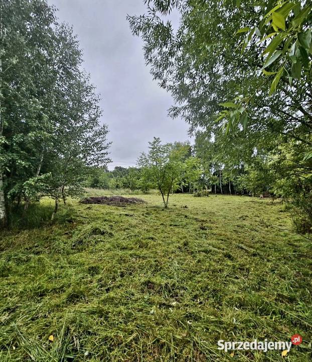 Działka Czaniec 156zł/m2