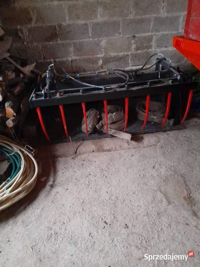 Lyzkokrokodyl nieuszkodzony Rolnictwo Jędrzejów