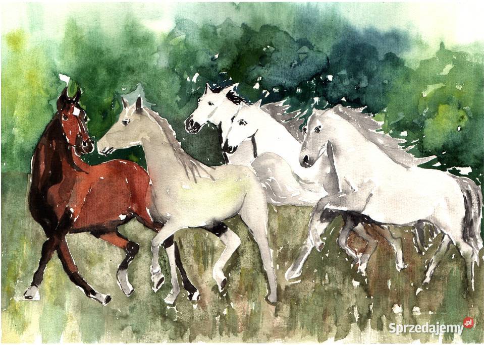 KONIE akwarela 297 x 42 Gryfów Śląski