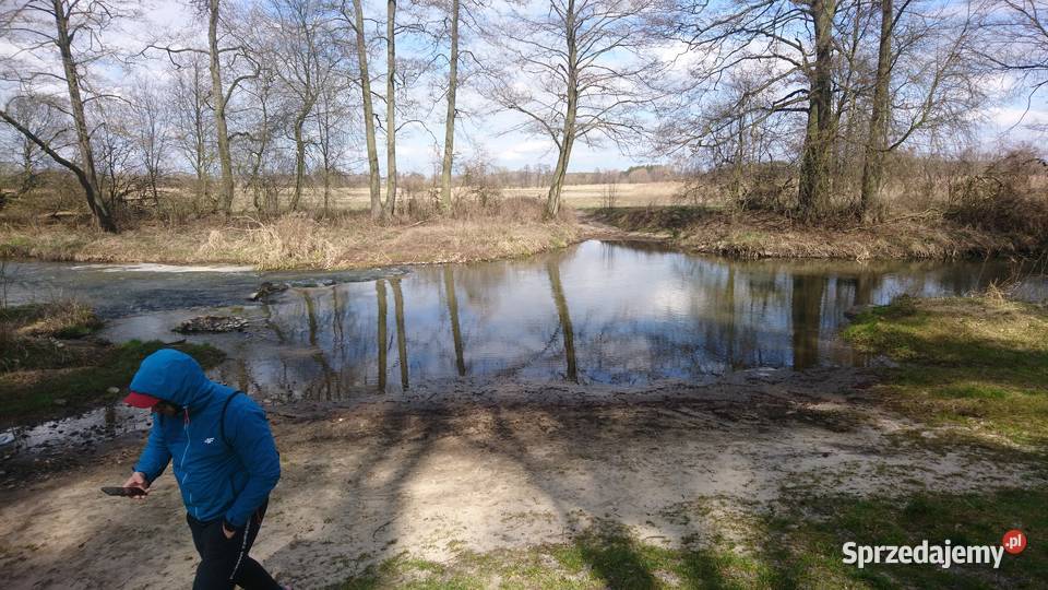 Dzialka leśna domek rzeka Brody Emilianów Grunty i działki sprzedam