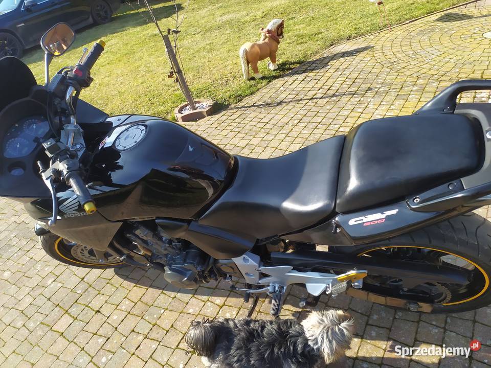 Honda CBF 600 Sokółka