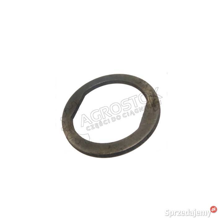 Pierścień ścięty koła dt błotniak