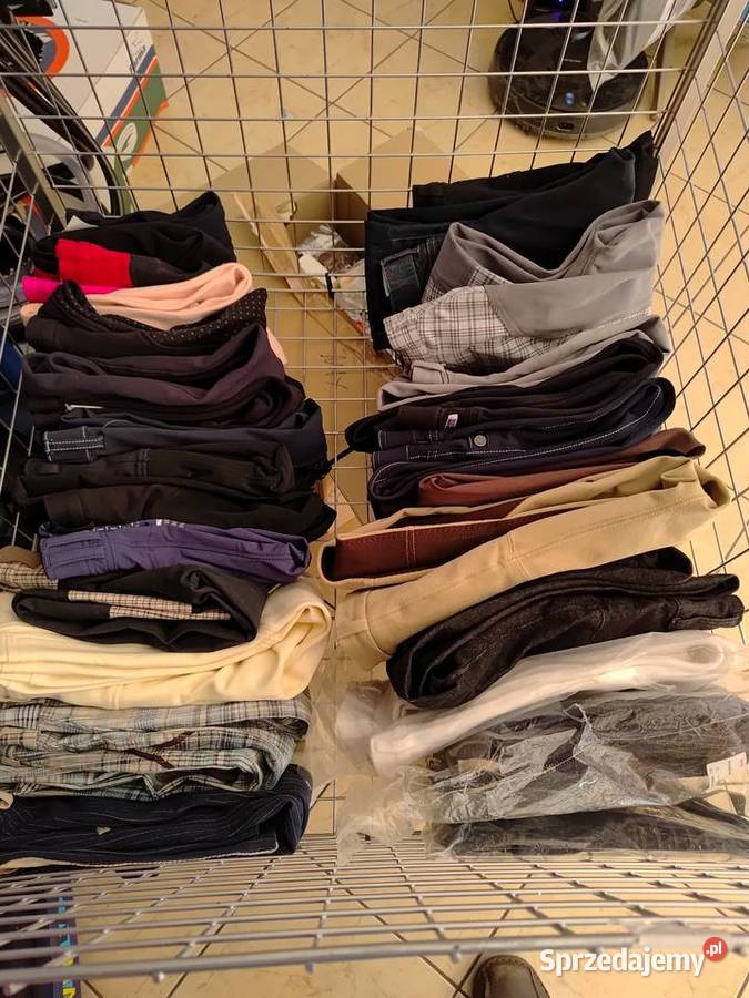 OGŁOWIE BEZWĘDZIDŁOWE BRĄZOWE L Kazanów