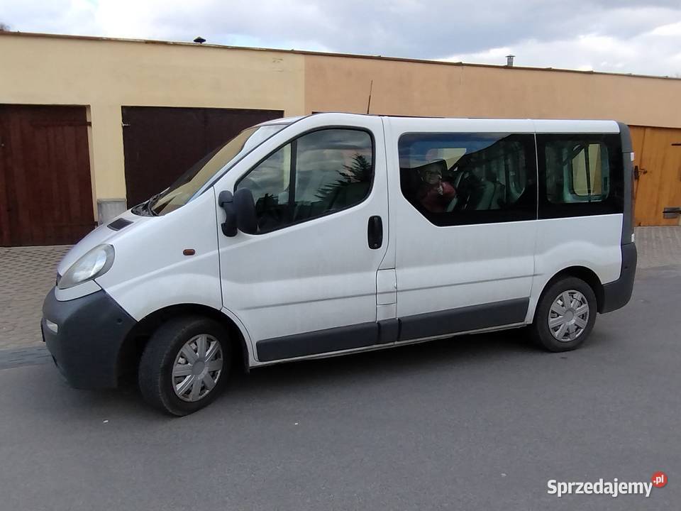 Opel Vivaro 2005 19 Drezdenko