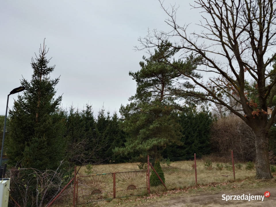 Wola Kamieńska Iława iławski warmińskomazurskie 1478m2 sprzedam