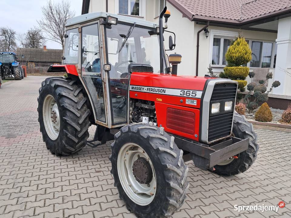 Ciągnik Massey Ferguson 365 sprowadzony 2100 mtg Rolnictwo Radom