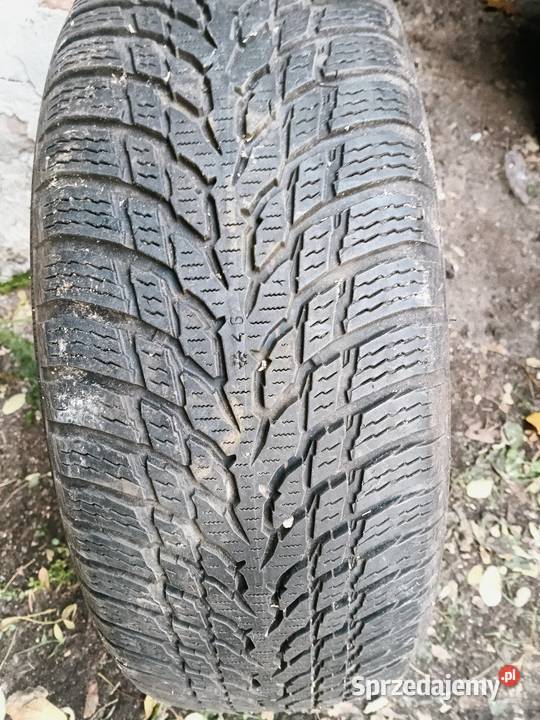 opona zimowa Nokian tyres WR Snowproof 20555R16 Włocławek