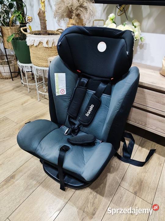 Fotelik samochodowy dziecięcy Lionel do 36 opolskie